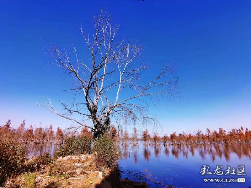 寂静岭5：归乡